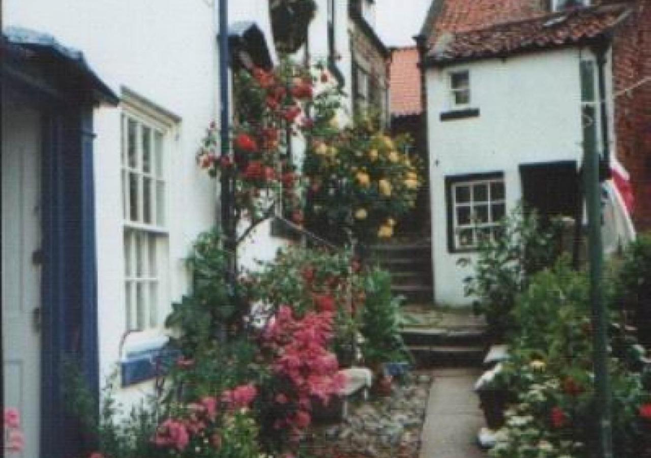 Alice Cottage روبن هودز باي المظهر الخارجي الصورة